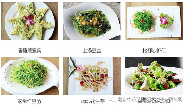 QQ图片20200114161246.jpg