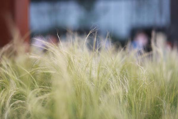 IMG_4431 拷贝.jpg